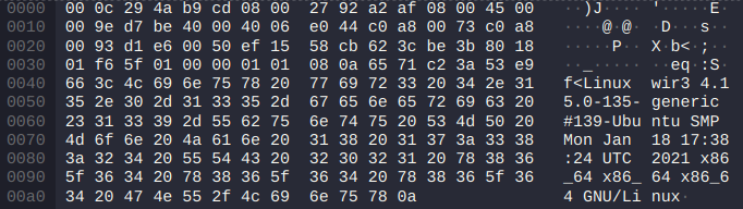 Linux header which announces the os version